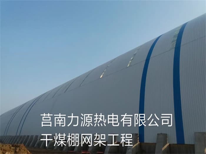 崇左力源热电有限公司干煤棚网架工程