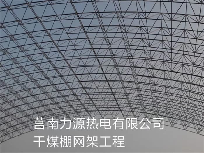 崇左力源热电有限公司干煤棚网架工程